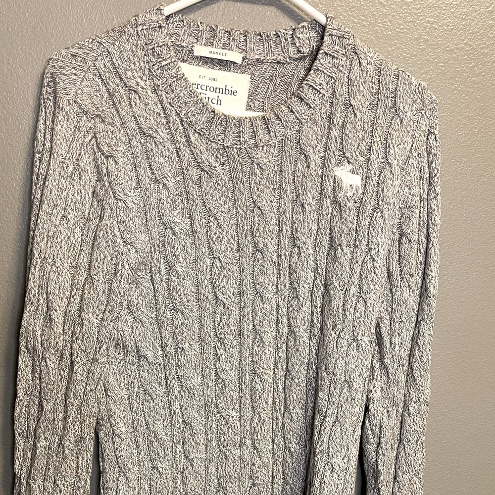 Abercrombie and Fitch Large, Men’s Crewneck Sweater